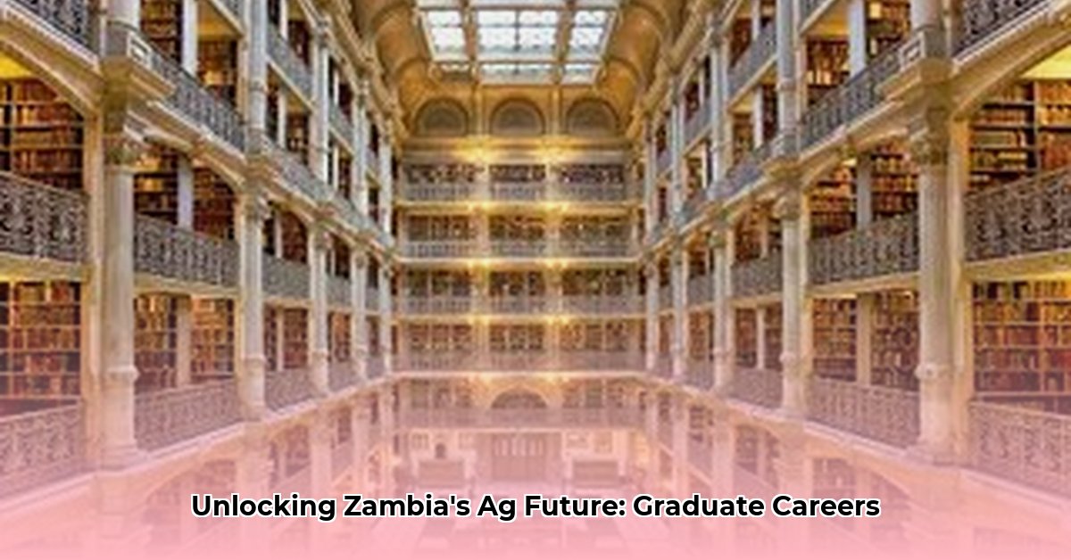 the-university-of-zambia